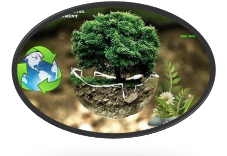 Environmental Consultancy